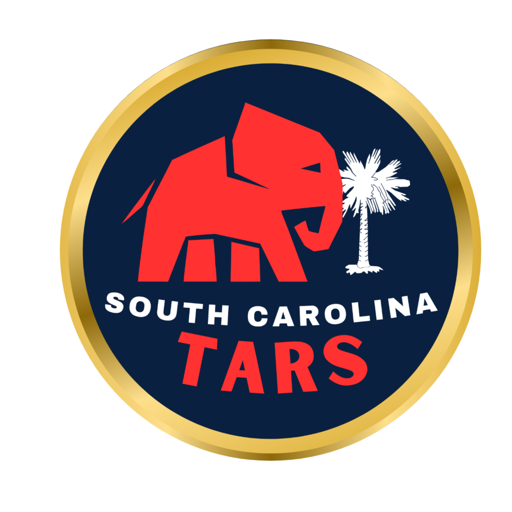 SOUTH CAROLINA TEENAGE REPUBLICANS